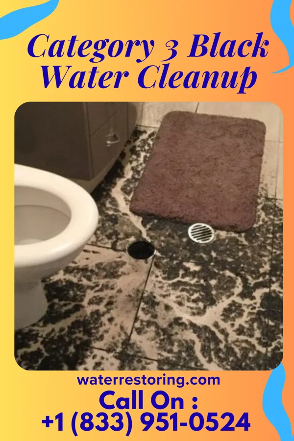 Category 3 Black Water Cleanup in Upper Elochoman, WA