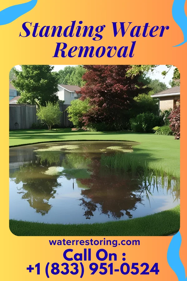 Standing Water Removal in Upper Elochoman, WA